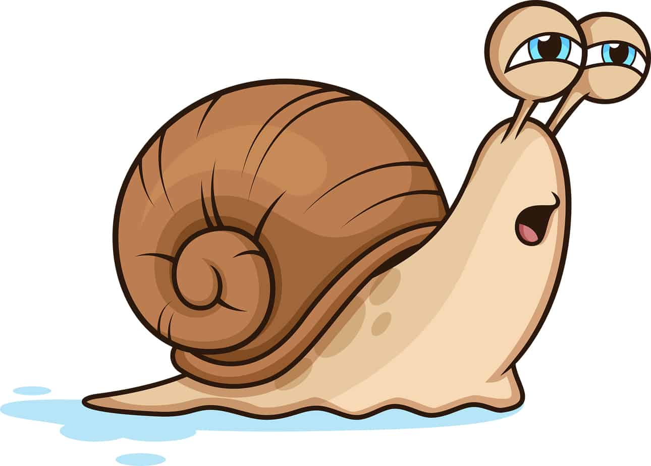 8 Tips to Learning Spanish and French at the Same Time Doublespeak Dojo