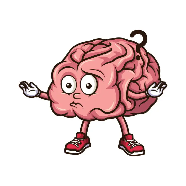 What Languages Are Most Similar To French? (Examined) Doublespeak Dojo